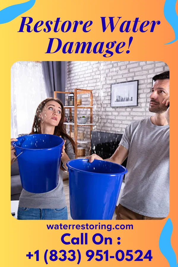 water restoration Citywide Flood Damage Experts Litchville