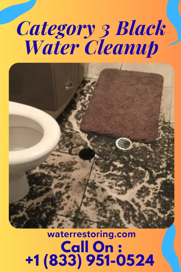Category 3 Black Water Cleanup in Litchville, ND