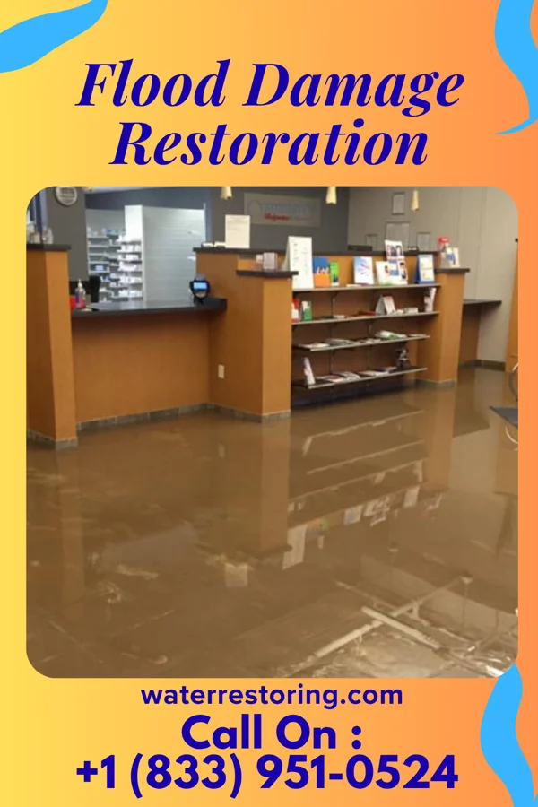 Flood Damage Restoration in Litchville, ND