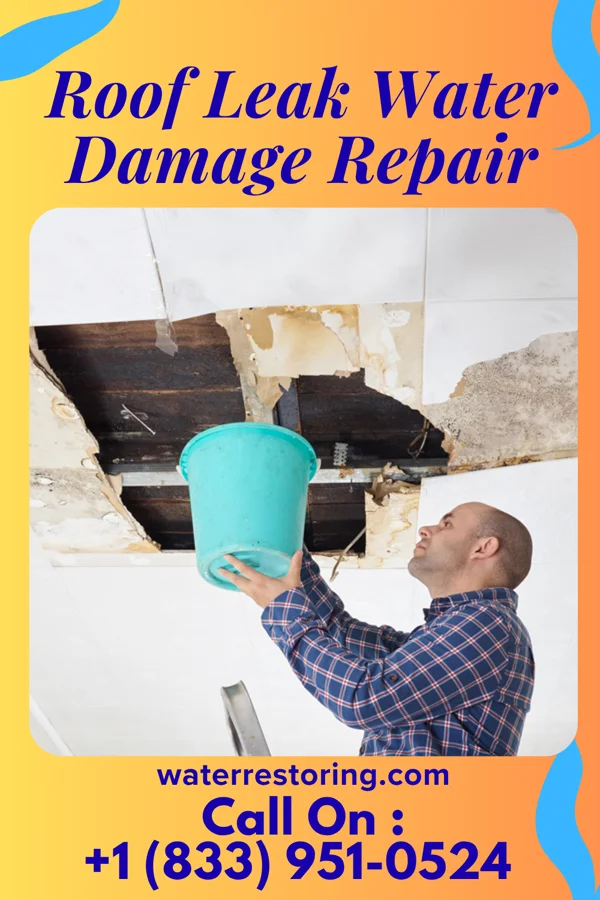 Roof Leak Water Damage Repair in Litchville, ND